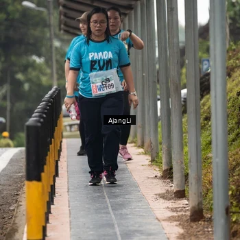 Runner Photo 8594843