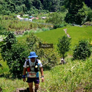 Runner Photo 86107