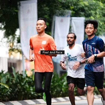 Runner Photo 8612895