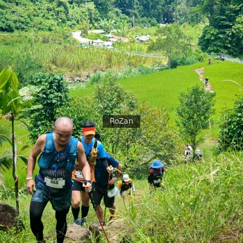 Runner Photo 86247