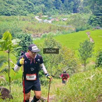 Runner Photo 86314