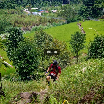 Runner Photo 86317