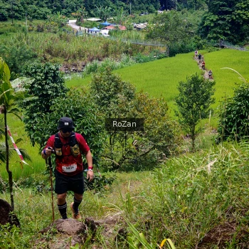 Runner Photo 86323