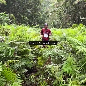 Runner Photo 8633694