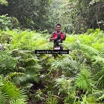 Runner Photo 8633696