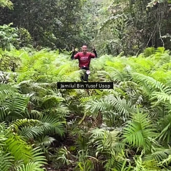 Runner Photo 8633697