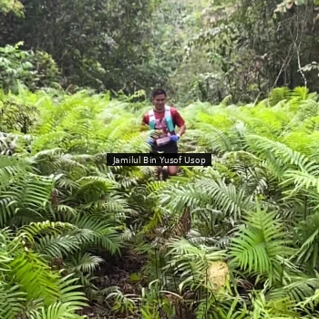 Runner Photo 8633702