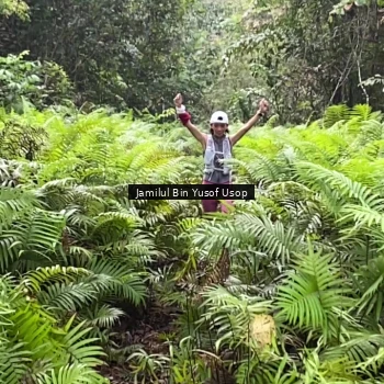 Runner Photo 8633704