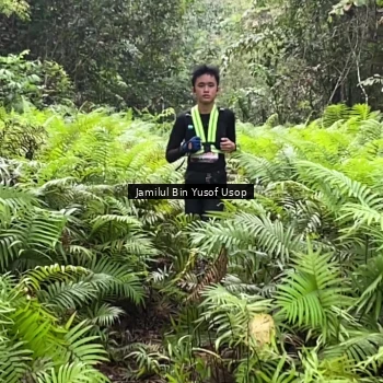Runner Photo 8633706
