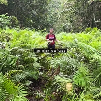 Runner Photo 8633710