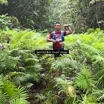 Runner Photo 8633711