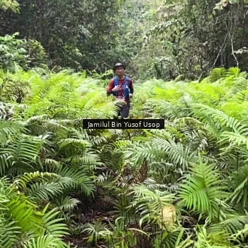 Runner Photo 8633713