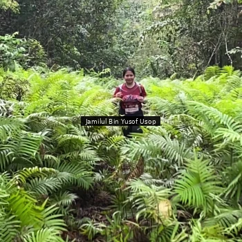 Runner Photo 8633834