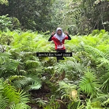 Runner Photo 8633837