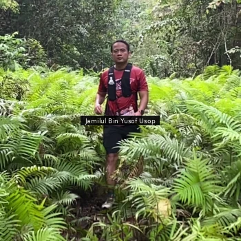 Runner Photo 8633839