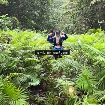 Runner Photo 8633840