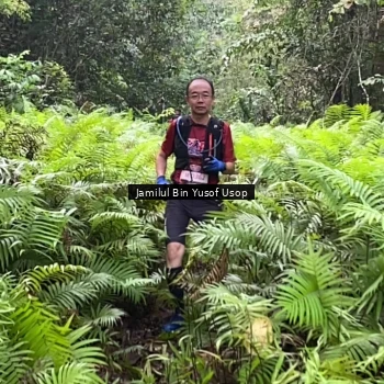 Runner Photo 8633841