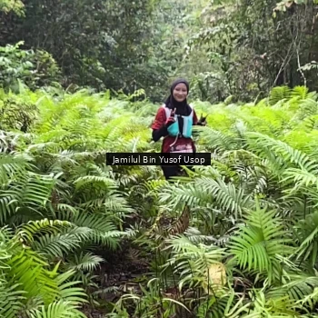 Runner Photo 8633844