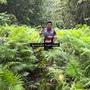 Runner Photo 8633857