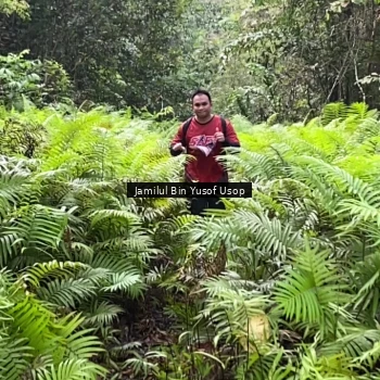 Runner Photo 8633859