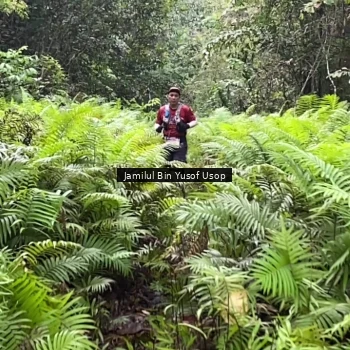 Runner Photo 8633863