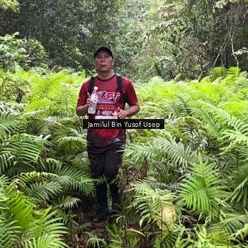 Runner Photo 8633865