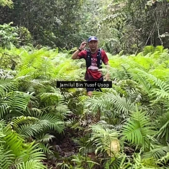 Runner Photo 8633870
