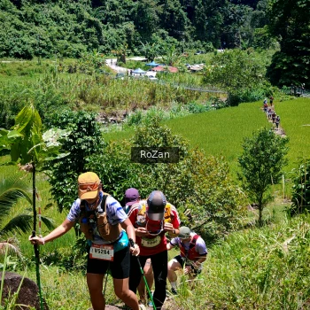 Runner Photo 86356