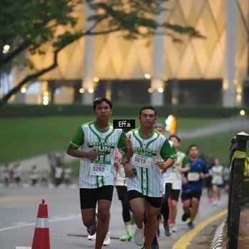 Runner Photo 8639152