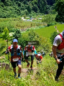 Runner Photo 86405