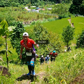Runner Photo 86415