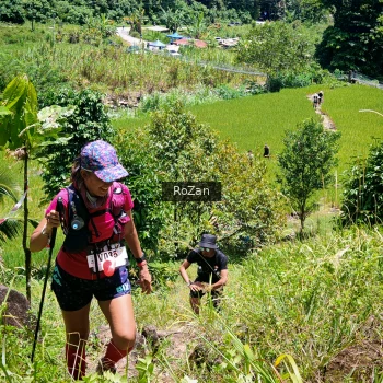 Runner Photo 86483