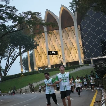 Runner Photo 8648416
