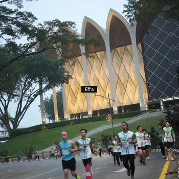 Runner Photo 8648422