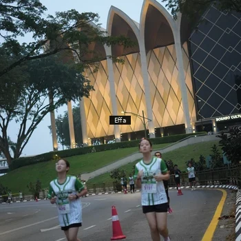 Runner Photo 8648440
