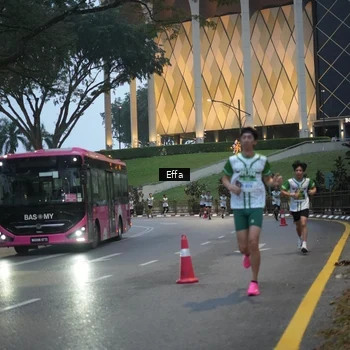 Runner Photo 8648527