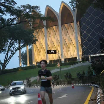Runner Photo 8648616