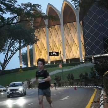 Runner Photo 8648624