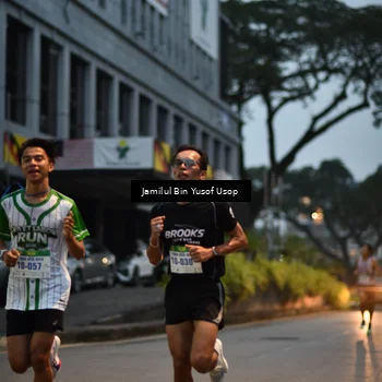 Runner Photo 8650579