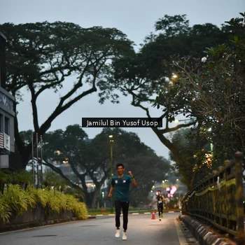 Runner Photo 8650587