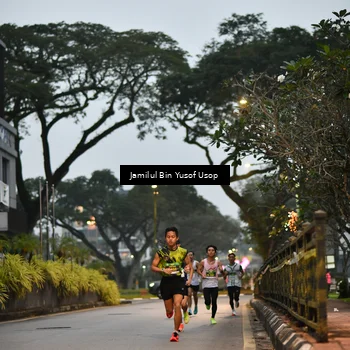 Runner Photo 8650604
