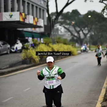 Runner Photo 8654744