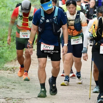 Runner Photo 8660138