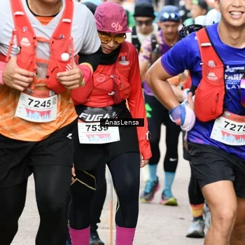 Runner Photo 8661378