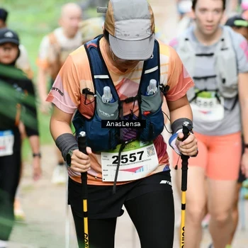 Runner Photo 8661433