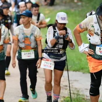 Runner Photo 8661552