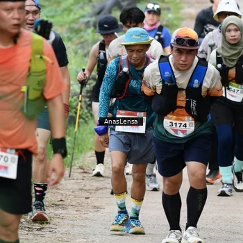Runner Photo 8662787