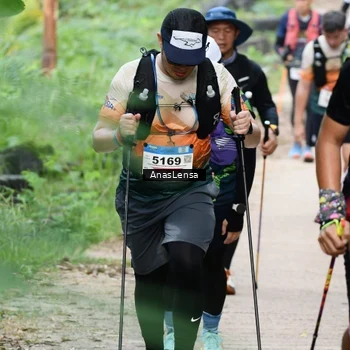 Runner Photo 8663071