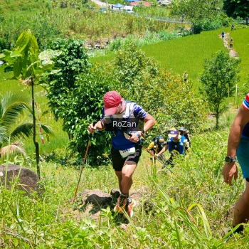 Runner Photo 86631
