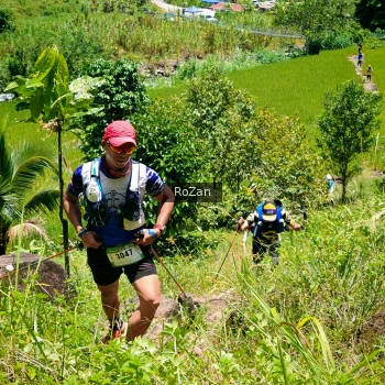 Runner Photo 86633
